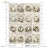 kwiaty, ramy, styl vintage, pastele, elegancja, dekoracja, delikatność, akwarela, botanika, estetyka shabby chic Angielski: flowers, frames, vintage style, pastels, elegance, decoration, delicacy, watercolor, botany, shabby chic aesthetic